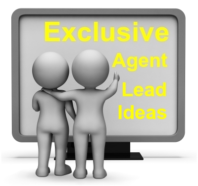 exclusive real estate agent lead