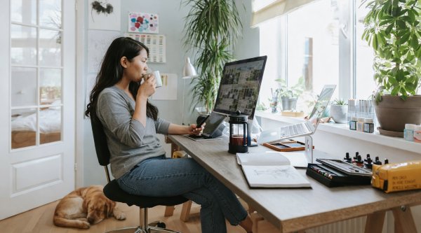 real estate agent reviewing expired listings on laptop while planning daily prospecting system at home office with dog nearby
