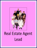 Real Estate Agent Lead