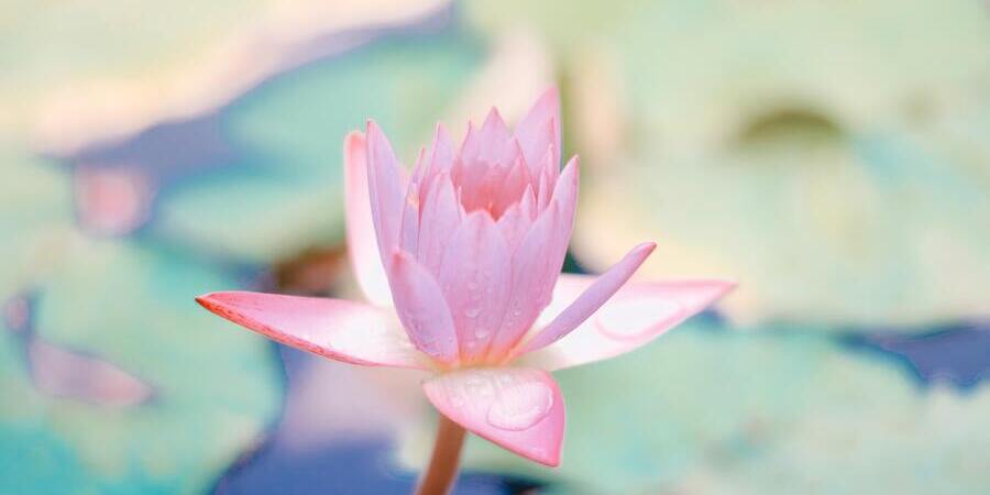 unique real estate slogans and taglines