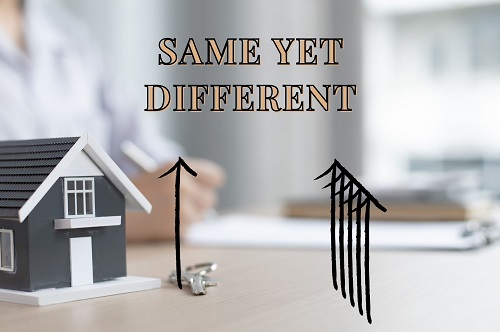 same but different same but different