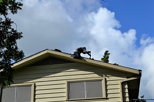 home warranties and what they cover for buyers